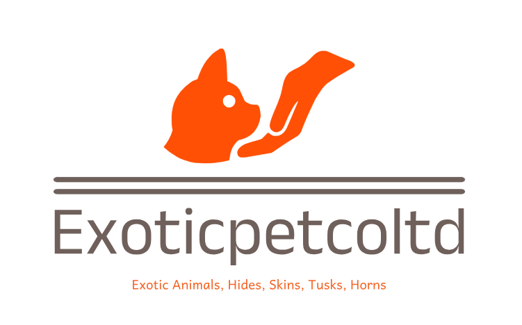Well Trained Exotic Pets For Sale