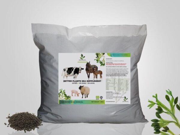 Algae meal for sale