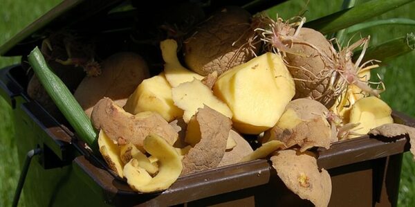 Potato waste for sale