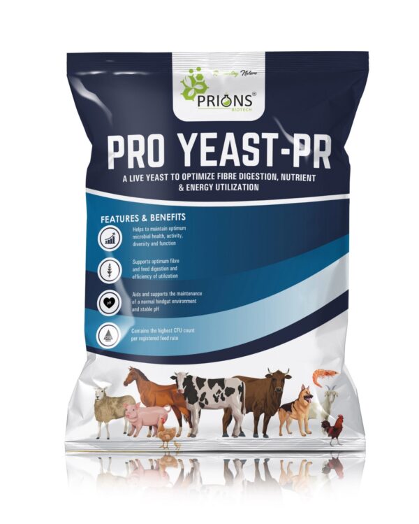 Yeast cultures for sale