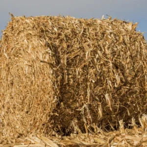 Corn stover grass for sale