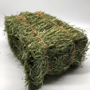 Ryegrass for sale online