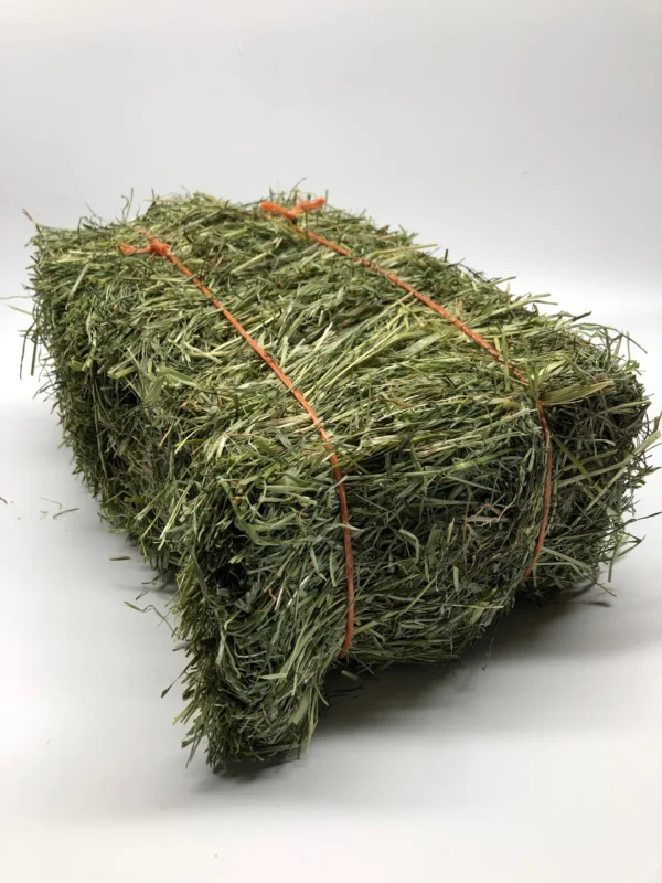 Ryegrass for sale online