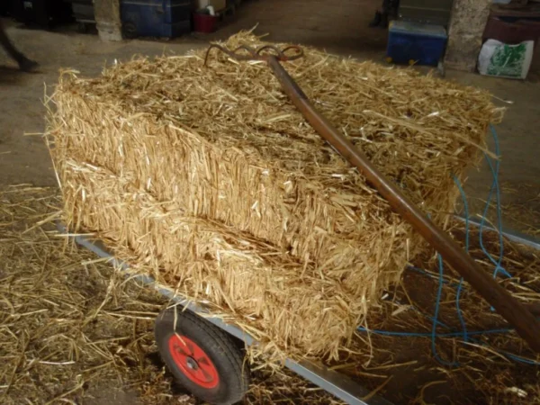 Peanut hay grass for sale