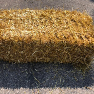 Barley straw for sale